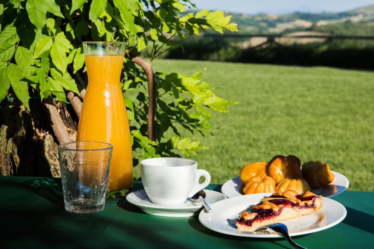 Agriturismo Fattoria Di Monticello San Venanzo Exterior foto